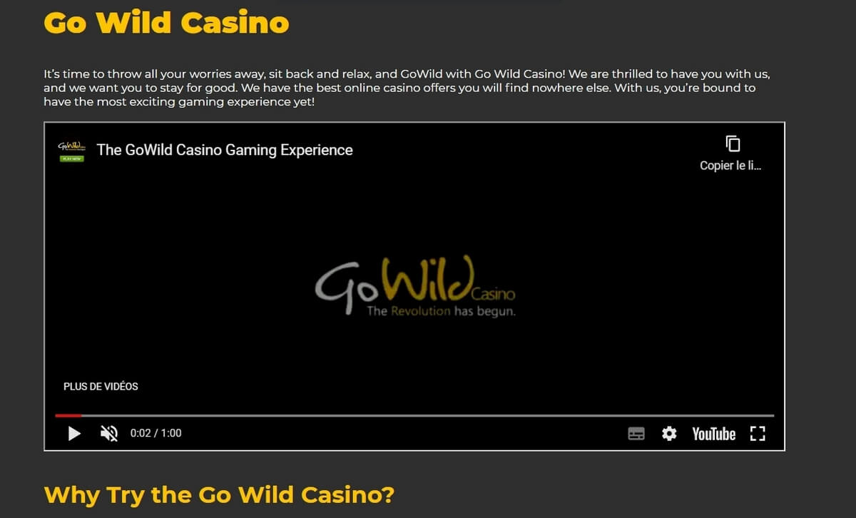 Casino Go Wild Consejos Y Beneficios Y Bonos